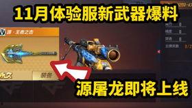 体验服最新爆料手游,体验服爆料揭示未来游戏潮流